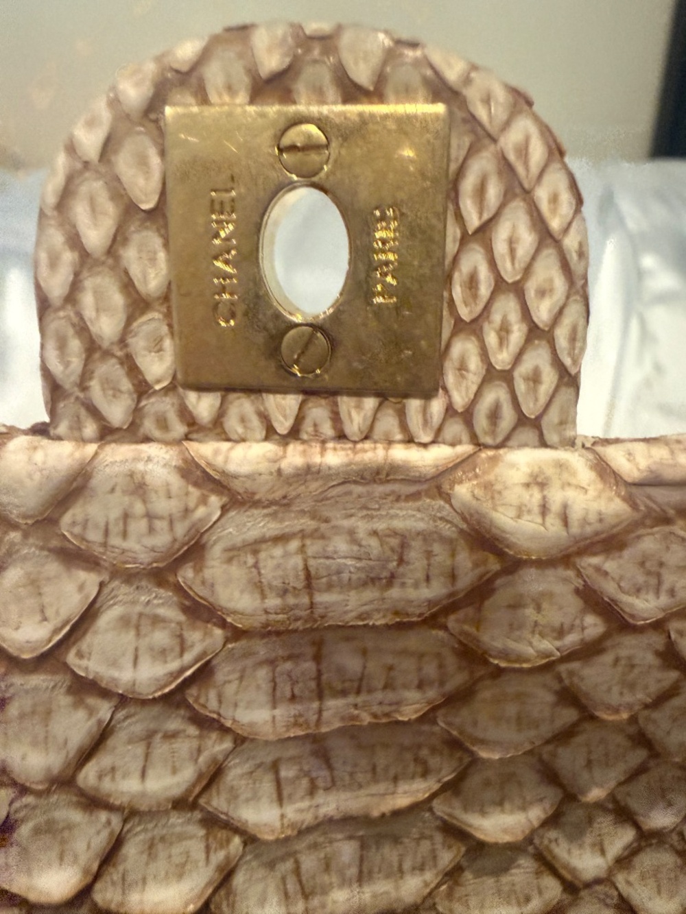 Chanel Python mini flap bag - Picture 12 of 15
